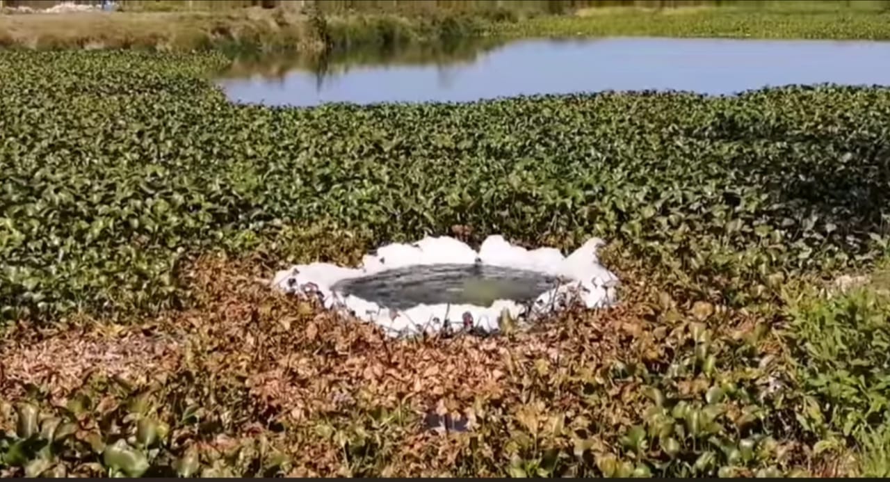 DETECTAN FUGA DE UN PRODUCTO EN LAGUNA DE MADERO.