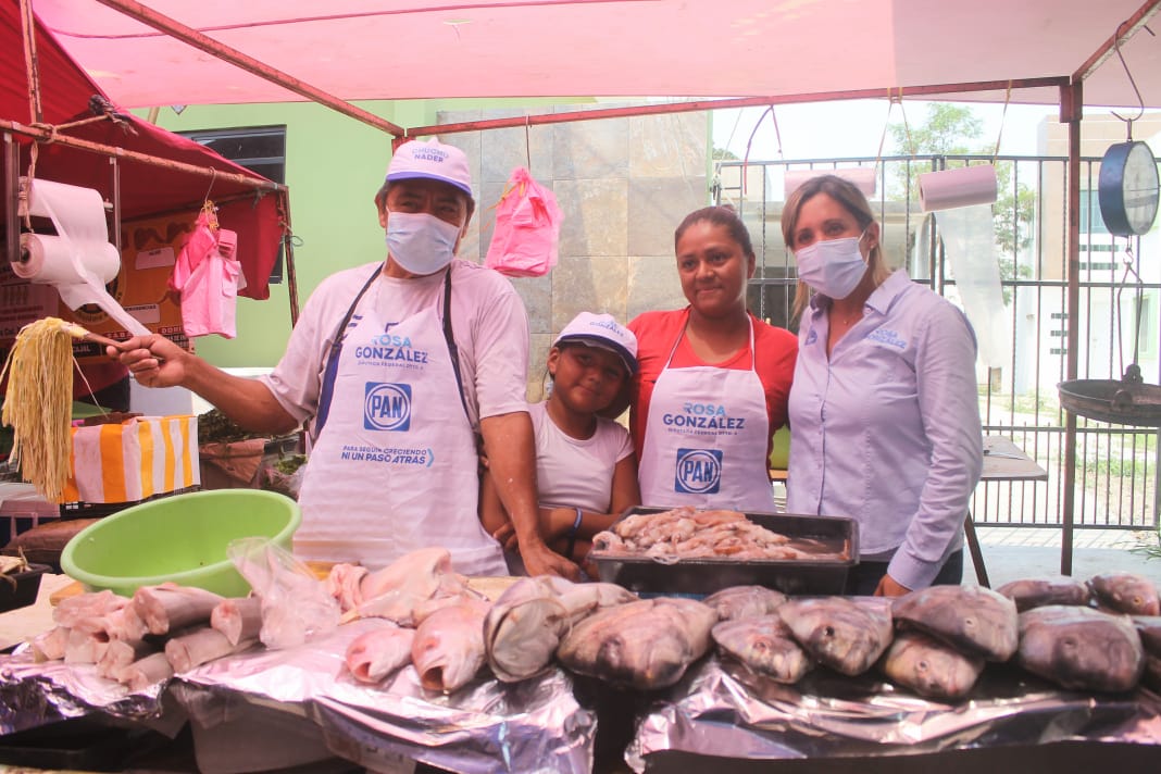 SERÉ LA VOZ DE TAMPICO Y MADERO EN EL CONGRESO DE LA UNIÓN: ROSA GONZÁLEZ.