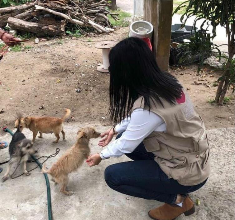 IMPULSA GOBIERNO MADERENSE ACCIONES EN MATERIA DE PROTECCIÓN ANIMAL.