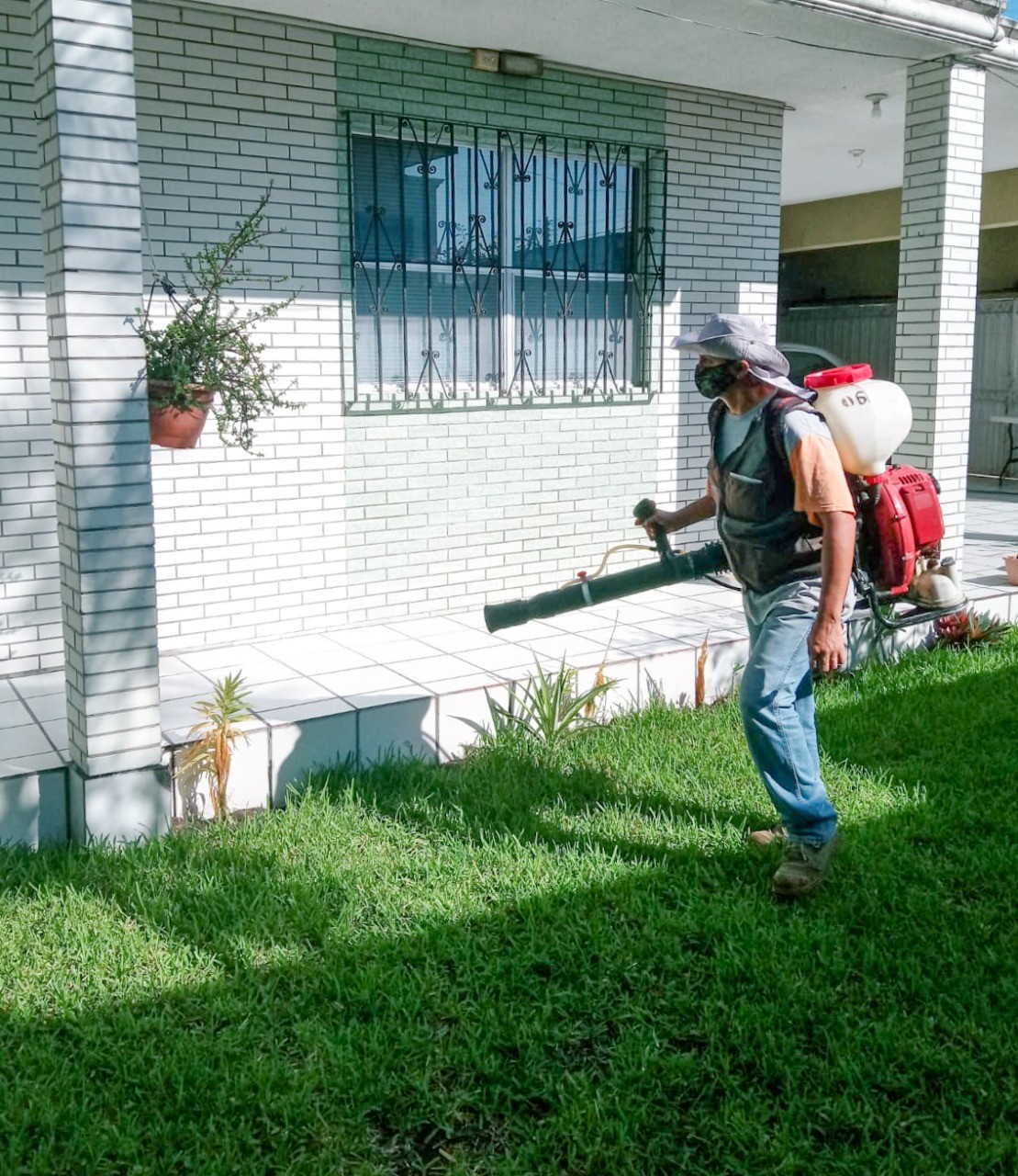 INTENSIFICA GOBIERNO DE MADERO ACCIONES CONTRA EL DENGUE.