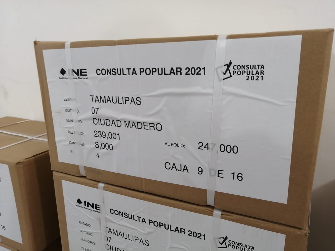 LLEGA MATERIAL PARA CONSULTA POPULAR A INE EN MADERO.