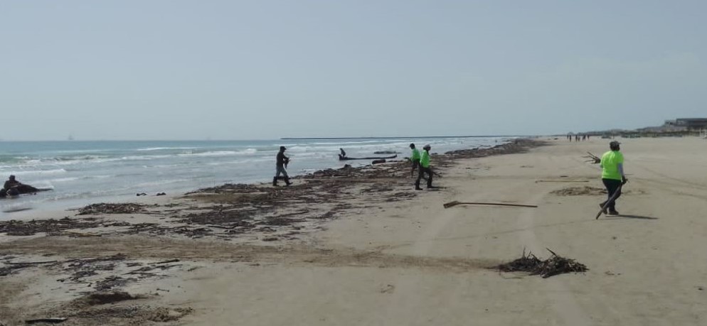 GOBIERNO DE MADERO INTENSIFICA TRABAJOS DE LIMPIEZA EN PLAYA MIRAMAR