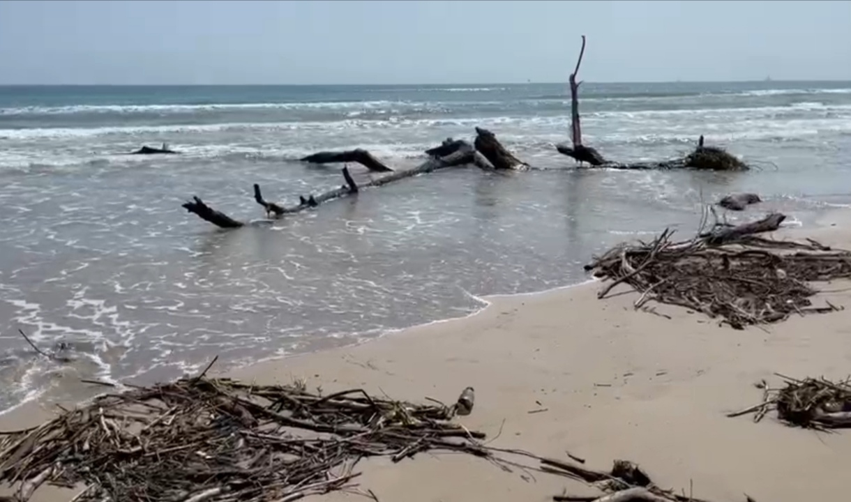 PLAYA MIRAMAR AMANECE INVADIDA DE CHAPOPOTE Y PALIZADA.