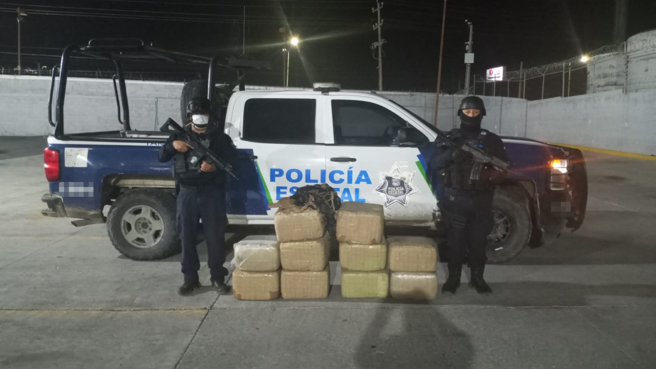 PEA ASEGURA MÁS DE CIEN KILOS DE MARIHUANA EN DIAZ ORDAZ.