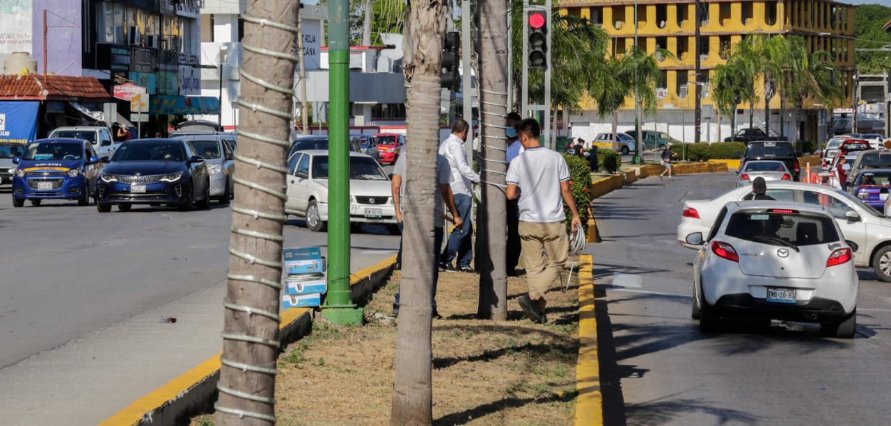 PIDEN A CIUDADANÍA DENUNCIAR VANDALISMO.