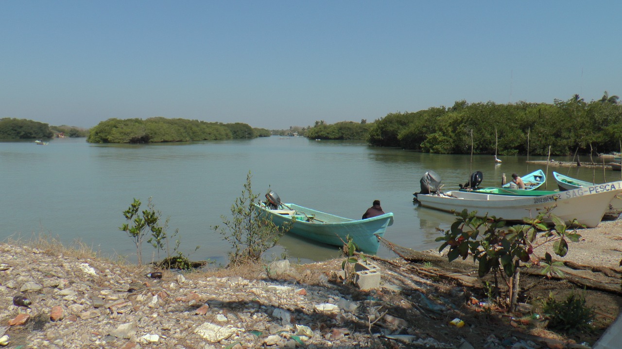 CONTAMINACIÓN EN LAGUNA