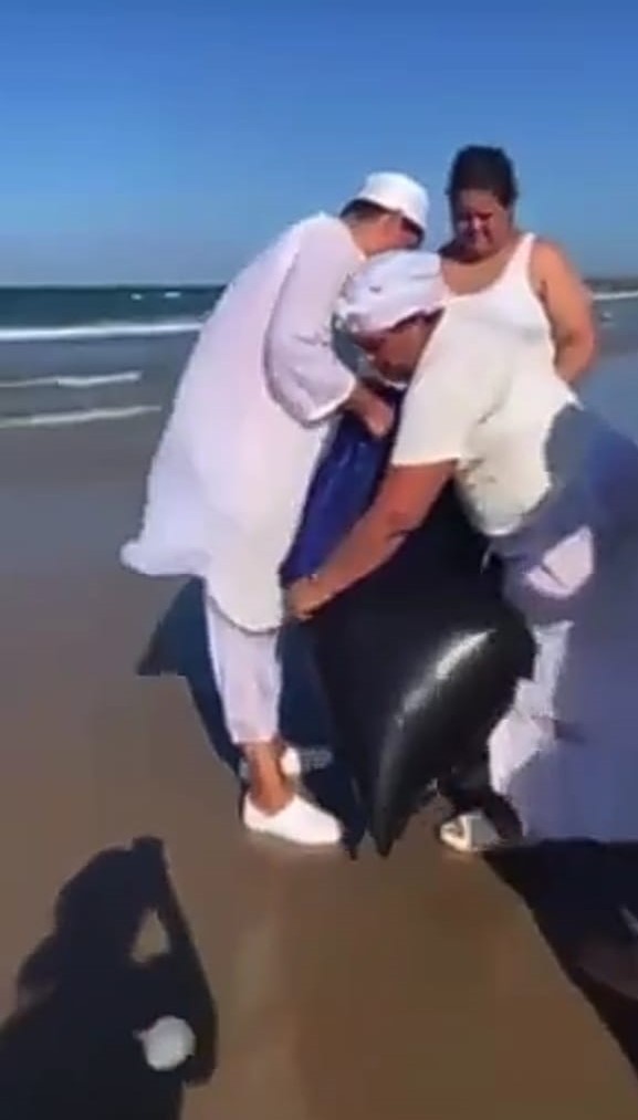 IDENTIFICAN A QUIENES HACÍAN BRUJERÍA EN PLAYA MIRAMAR.