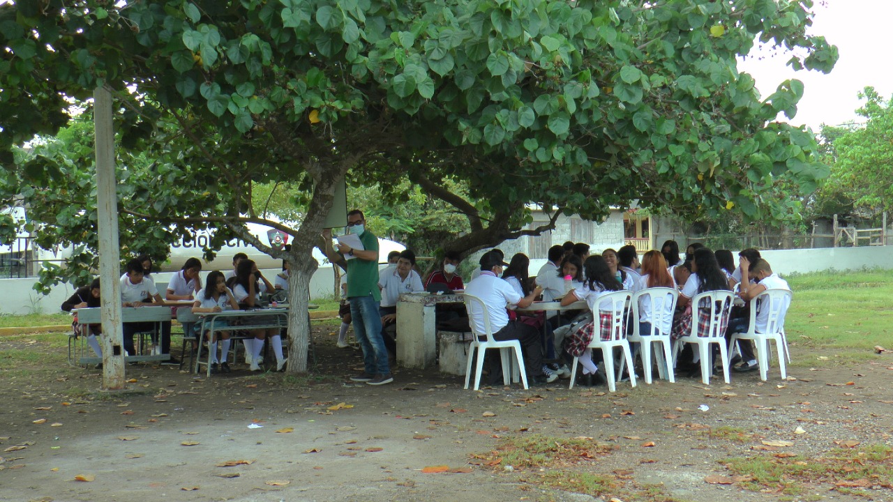 ESTUDIAN BAJO LA SOMBRA DE UN ÁRBOL