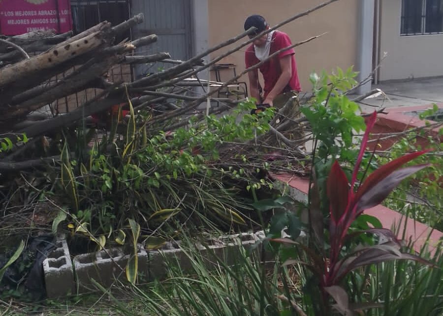 CAEN DOS ÁRBOLES EN SECUNDARIA DE MADERO. CAEN DOS ÁRBOLES EN SECUNDARIA DE MADERO.