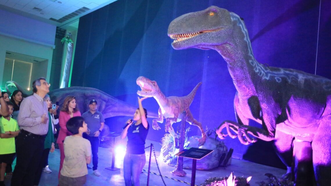 NOS DEBEMOS HERMANAR PARA SALIR ADELANTE: AVA