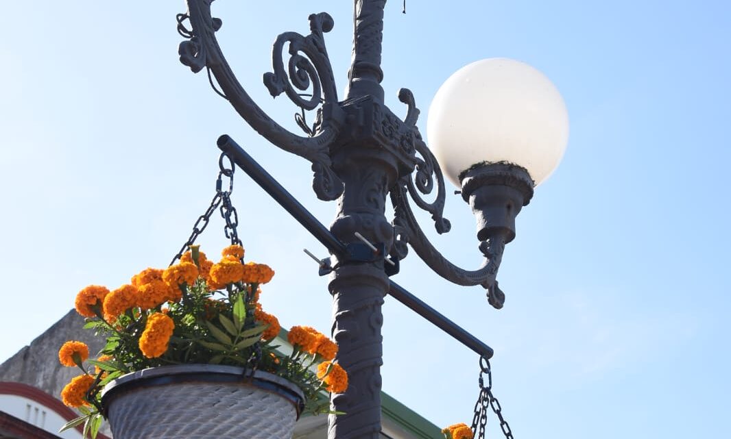 SE INSTALARÁN ANUNCIOS DE “RESPETAR” PLANTAS PÚBLICAS