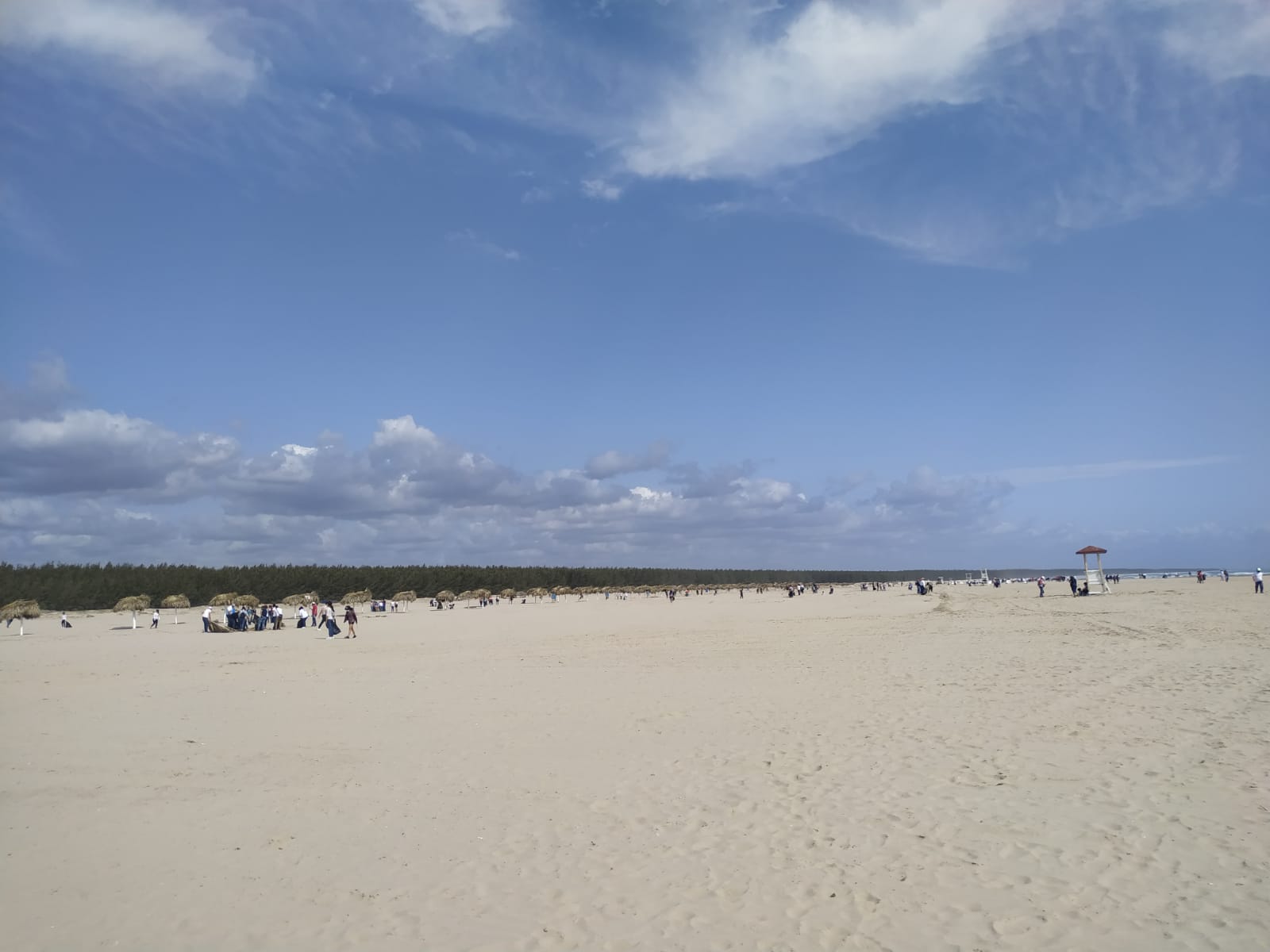 ANTE AUSENCIA DE MAREA ROJA, REABREN PLAYA TESORO