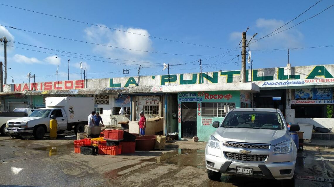 NO QUIERE CHUCHO GRILLA EN PROYECTO LA PUNTILLA; GOBIERNO INFORMARÁ PUNTUALMENTE AVANCES