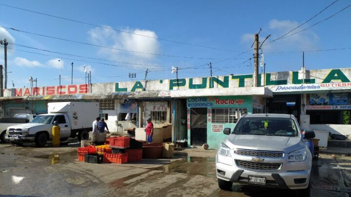 NO QUIERE CHUCHO GRILLA EN PROYECTO LA PUNTILLA; GOBIERNO INFORMARÁ PUNTUALMENTE AVANCES