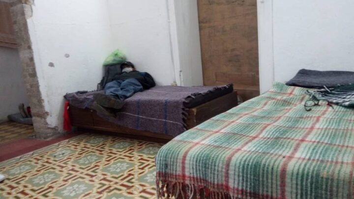 INVITAN A FUNCIONARIOS A DONAR INSUMOS DE ALIMENTO Y COBIJAS PARA LOMITOS RESGUARDADOS EN ALBERGUES