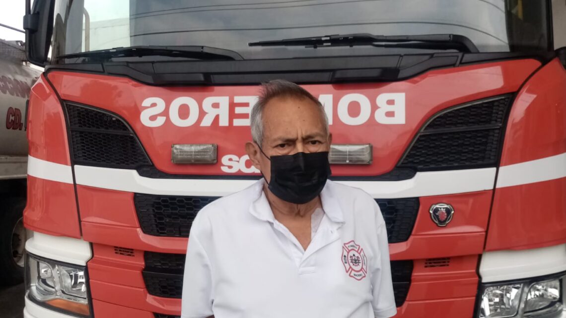 INCREMENTA PRESENCIA DE ABEJAS Y AVISPAS.