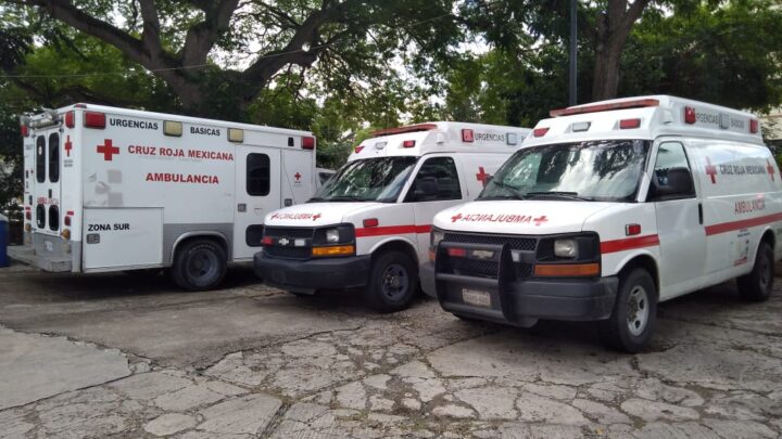 Atraviesa Cruz Roja del Sur por Severa Crisis Financiera