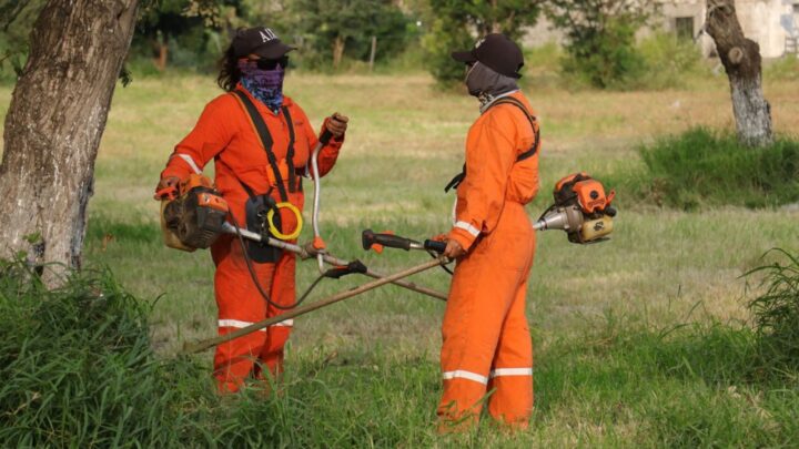 INICIA GOBIERNO DE ALTAMIRA PROGRAMA DE EMPLEO TEMPORAL