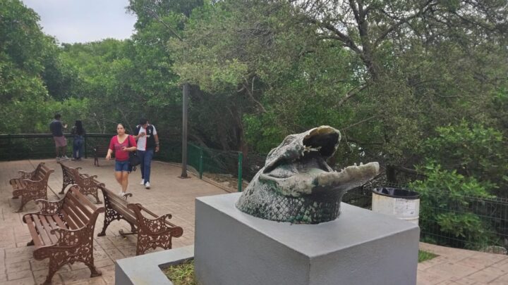 LE ROMPEN EL HOCICO A “JUANCHO” EN TAMPICO