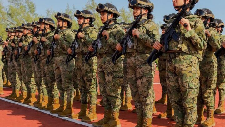 Invitan a familias a la demostración de la SEMAR en Playa Miramar  