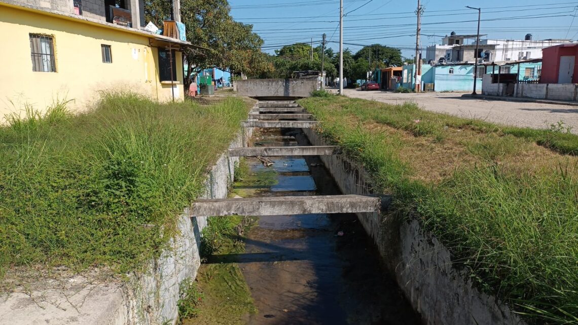 ANTE CONTINUOS AVISTAMIENTOS DE COCODRILOS VECINOS DEL EDÉN TEMEN ALGÚN ATAQUE.