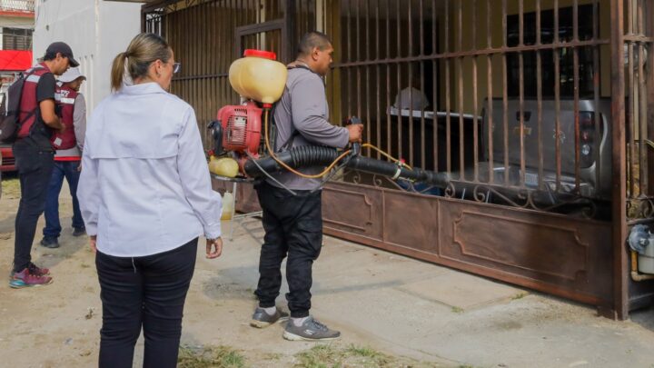 SIN TREGUA AL DENGUE CON FUMIGACIÓN DE COLONIAS EN CIUDAD MADERO