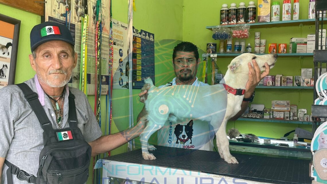 NUEVO CASO DE MALTRATO ANIMAL SUJETOS LE CORTARON OREJAS Y COLA A PERRO