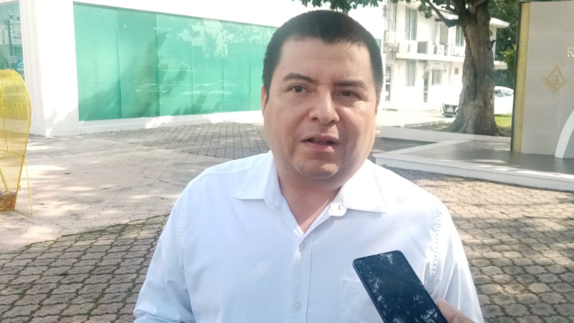PIDEN A CIUDADANOS NO TIRAR PINOS SECOS EN LAS CALLES. PIDEN A CIUDADANOS NO TIRAR PINOS SECOS EN LAS CALLES.