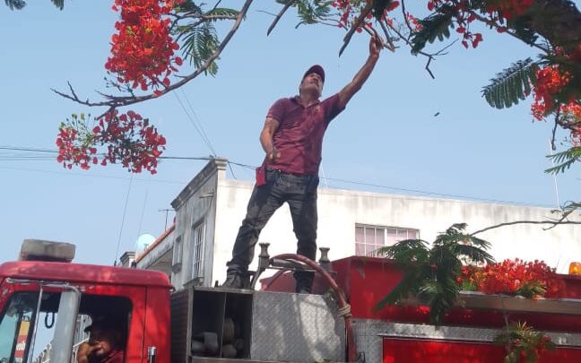 HA ATENDIDO OPORTUNAMENTE PROTECCIÓN CIVIL DE ALTAMIRA HASTA 40 INCIDENTES EN LAS ÚLTIMAS SEMANAS.