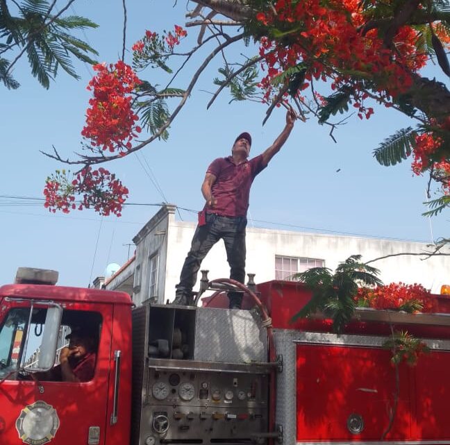 HA ATENDIDO OPORTUNAMENTE PROTECCIÓN CIVIL DE ALTAMIRA HASTA 40 INCIDENTES EN LAS ÚLTIMAS SEMANAS.