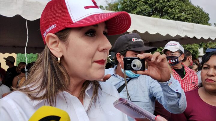 PEGA CON INSISTENCIA VIOLENCIA VICARIA EN EL PAÍS; NECESARIO COMBATIRLA CON MAYOR LEGISLACIÓN: CLAUDIA HERNÁNDEZ.