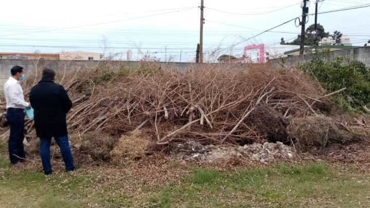 PRIMARIA DE MADERO PIDE APOYO PARA RETIRAR MALEZA.