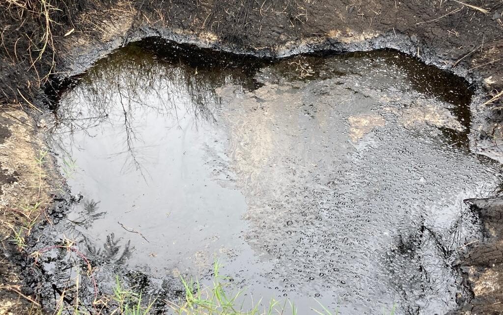 RIESGO ECOLÓGICO TRAS DERRAME DE HIDROCARBUROS EN VILLA CUAUHTEMOC