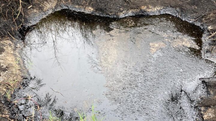 RIESGO ECOLÓGICO TRAS DERRAME DE HIDROCARBUROS EN VILLA CUAUHTEMOC