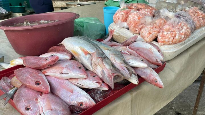 Baja Producción De Pescados y Mariscos Eleva Los Precios a Compradores.