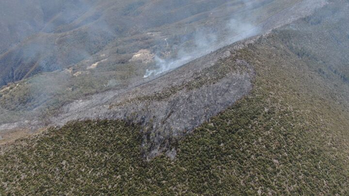 NCENDIO FORESTAL EN MIQUIHUANA