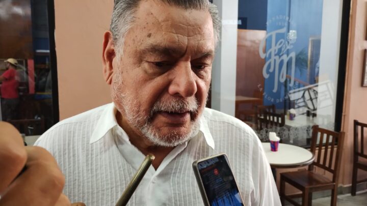 NECESARIO QUE UN PORCENTAJE DE LOS COCOS DEL CARPINTERO SEAN REUBICADOS; COMPETE A PROFEPA