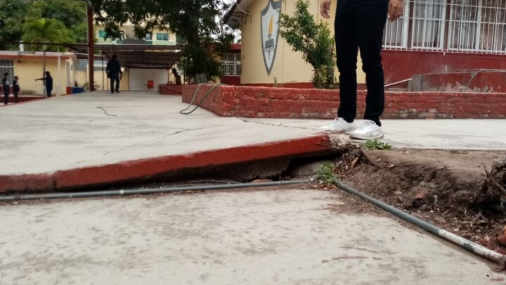 RAÍCES DE ÁRBOL DAÑA CONCRETO DE PATIO DE PRIMARIA DE MADERO