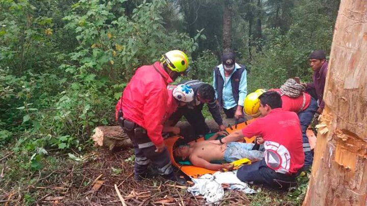SUJETO CAE DE UN ÁRBOL EN CERRO AZUL