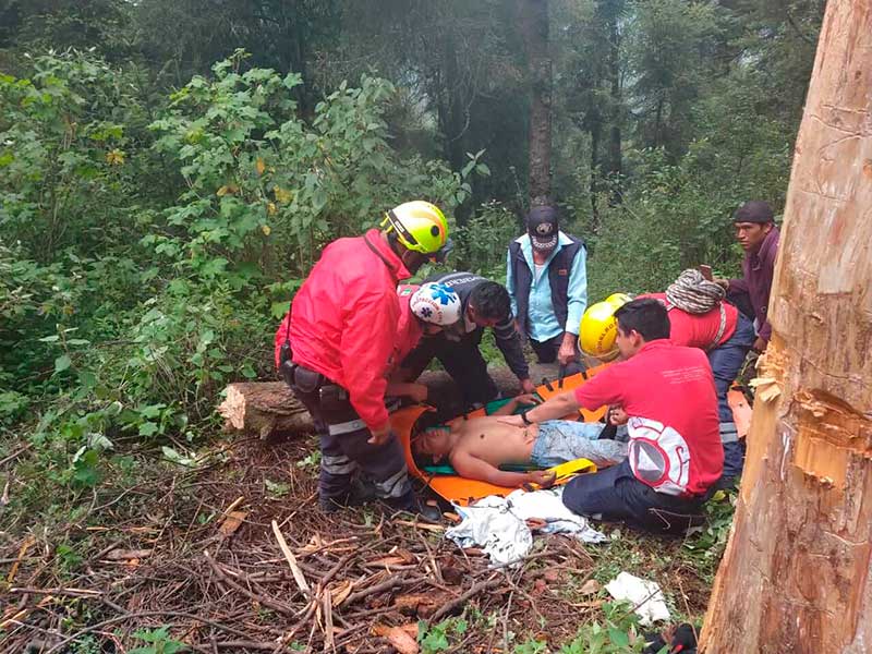 SUJETO CAE DE UN ÁRBOL EN CERRO AZUL