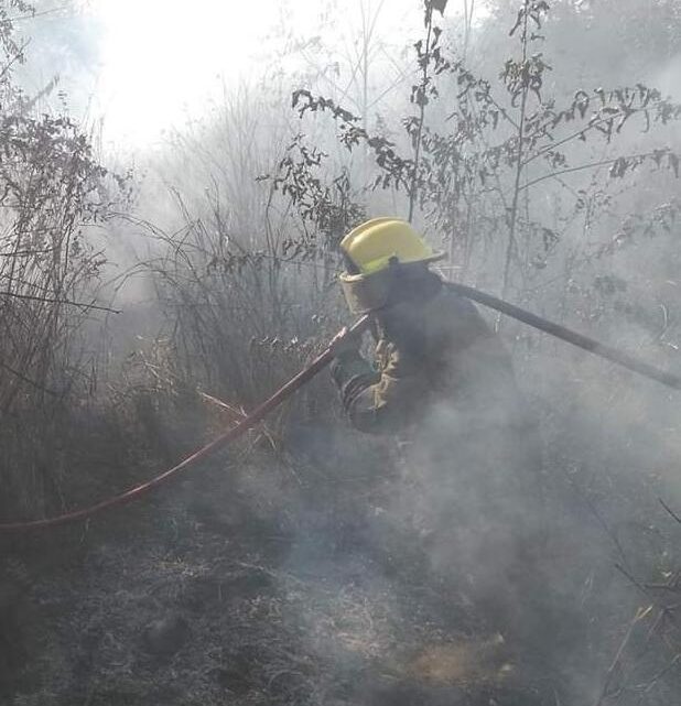 VORAZ FUEGO CONSUME PASTIZAL EN ALTAMIRA