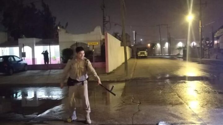 CAPTURAN A ENORME COCODRILO QUE PASEABA EN CALLES DE MADERO.