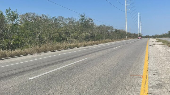 INICIARÁN REENCARPETADO EN EL CORREDOR URBANO
