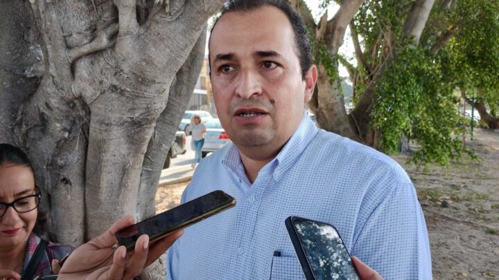 PIDE AUTORIDAD EDUCATIVA COLABORACIÓN DE PADRES DE FAMILIA PARA VIGILAR ESCUELAS EN TAMPICO