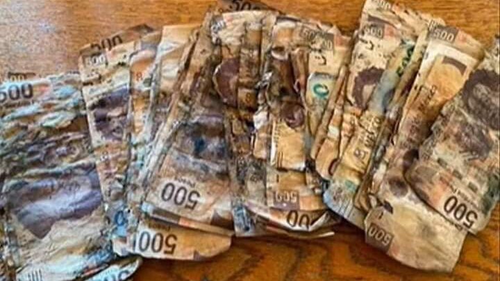 Ahorra para Comprar un iPhone, lo Entierra y Se Le Pudre