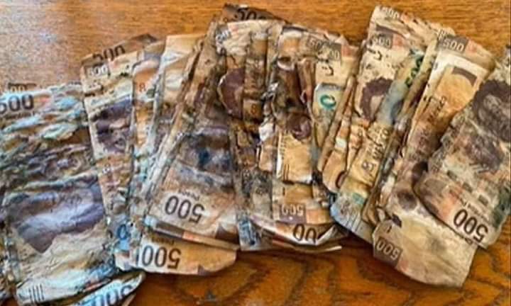 Ahorra para Comprar un iPhone, lo Entierra y Se Le Pudre Ahorra para Comprar un iPhone, lo Entierra y Se Le Pudre