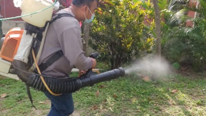 CIUDAD MADERO REFUERZA LABORES DE FUMIGACIÓN PARA PREVENIR EL DENGUE.