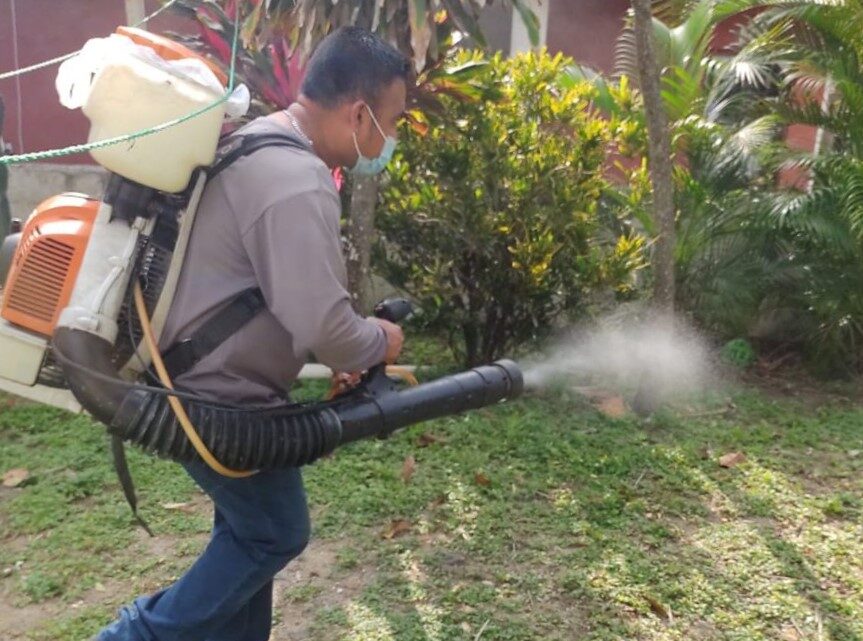 CIUDAD MADERO REFUERZA LABORES DE FUMIGACIÓN PARA PREVENIR EL DENGUE.