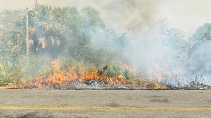 ATIENDE PROTECCIÓN CIVIL ESTATAL INCENDIO FORESTAL EN NUEVO MORELOS