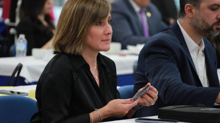 DIPUTADOS DE MORENA NUNCA SUPIERON LO QUE VOTARON EN LA LGCS Y PLAN B: ROSA GONZÁLEZ